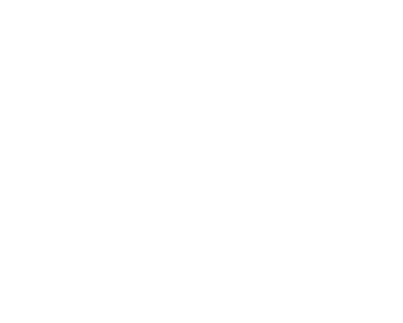 World Anti Extremism Network